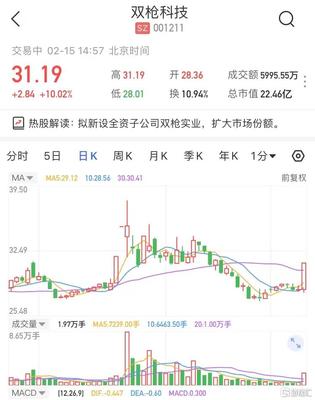 A股異動 | 雙槍科技(001211.SZ)漲停 擬新設全資子公司雙槍實業