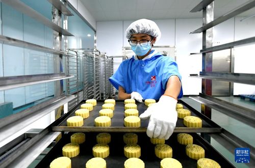 河北阜城 承接產業轉移 打造食品產業基地